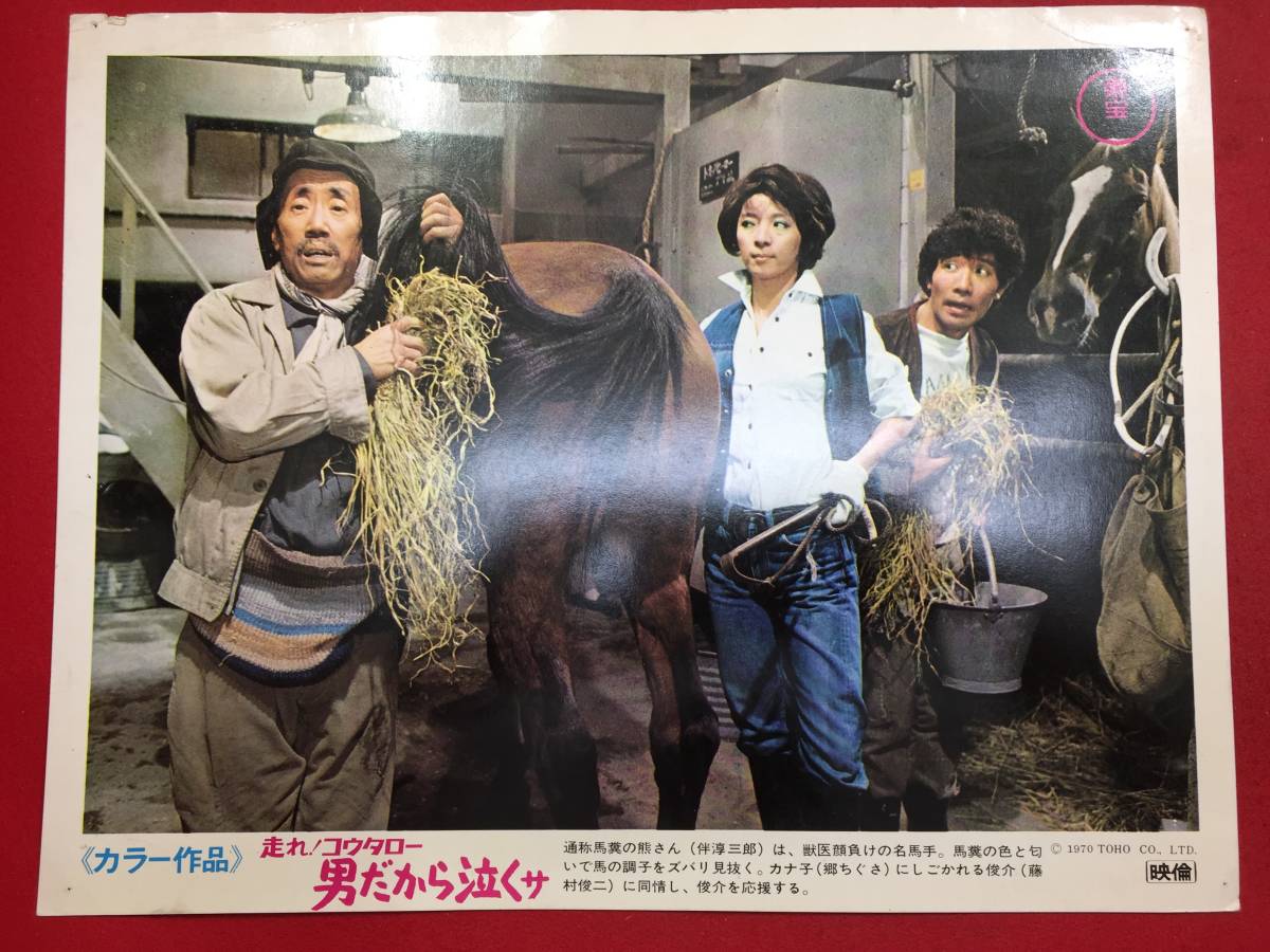 93682『走れコウタロー男だから泣くサ』ロビーカード 藤村俊二 郷ちぐさ 左とん平 左卜全 西村晃 緑魔子 菱見百合子 伴淳三郎拍卖