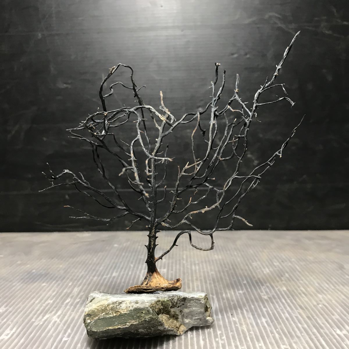 ☆sea tree☆送料無料♪石付きウミウチワ・サンゴ  15流木/水槽/アクアリウム/テラリウム/インテリア/ADA/サンゴ/置物拍卖