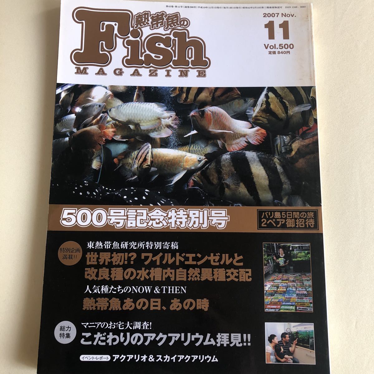 古本/FISH MAGAZINE/500 500号記念特別号拍卖
