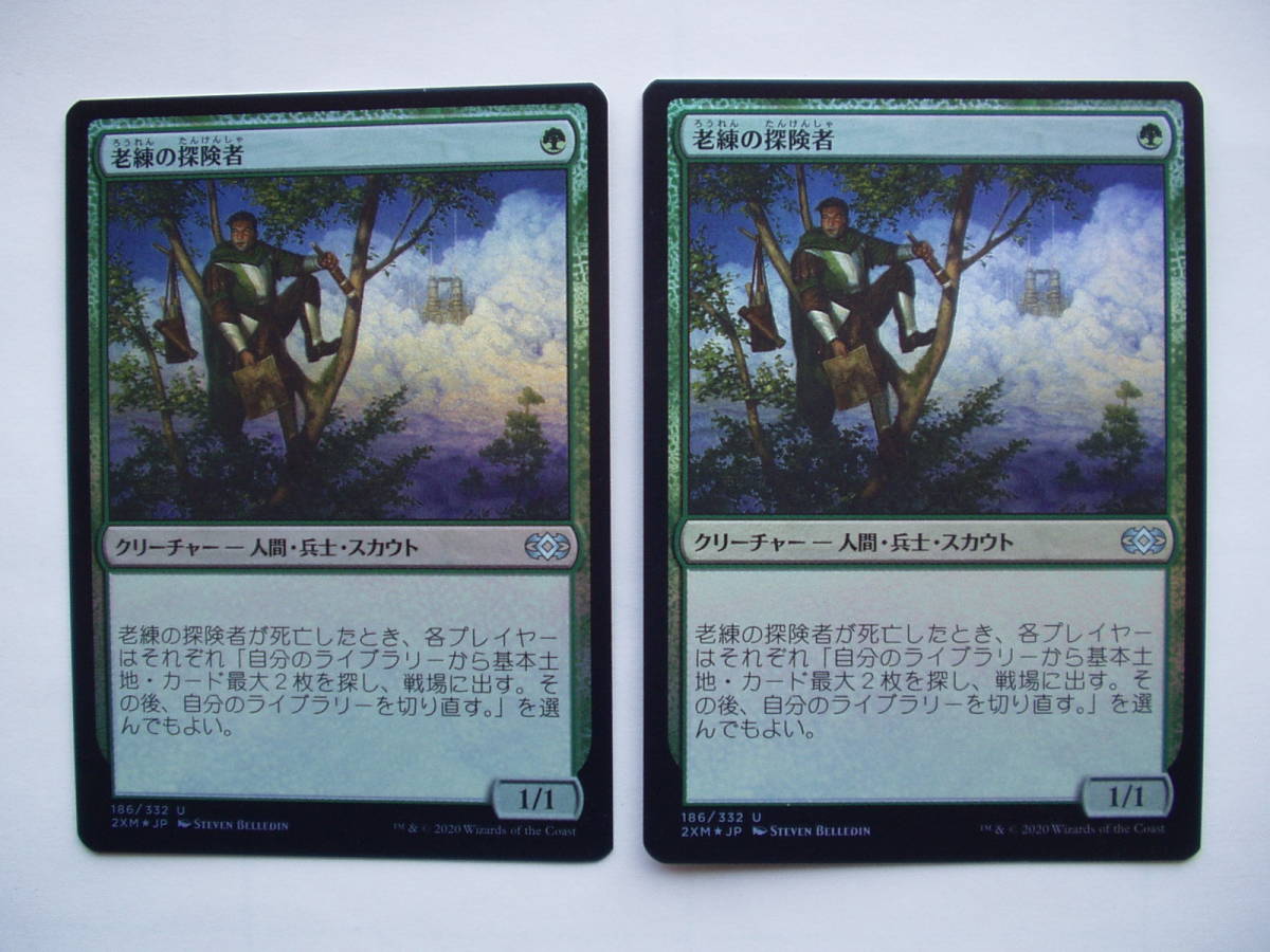 バイン MTG 老練の探険者/Veteran Explorer foil 日本語2枚拍卖