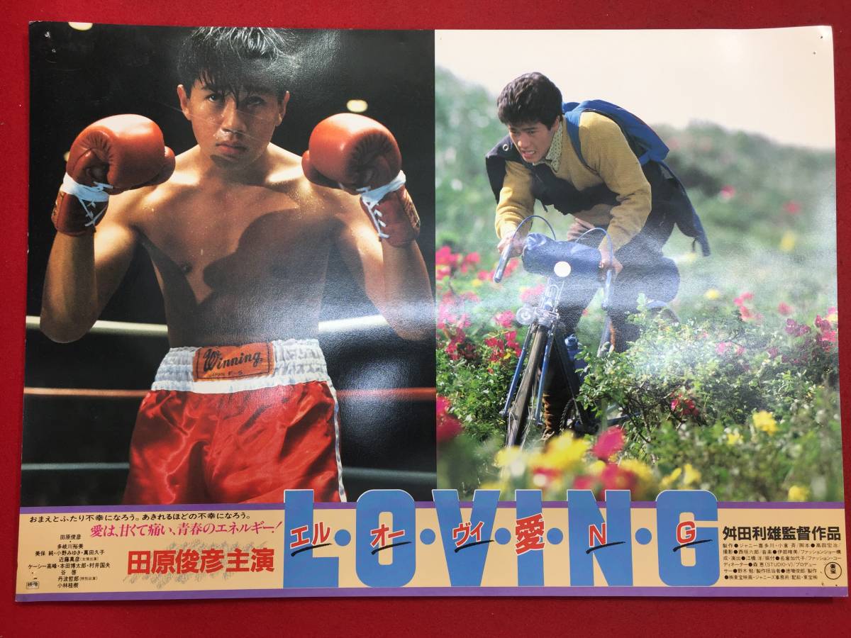 93530『エル・オー・ヴィ・愛・N・G』ロビーカード 田原俊彦 近藤真彦 美保純 萬田久子 八神康子 ジャニー喜多川 麻丘あゆ美拍卖