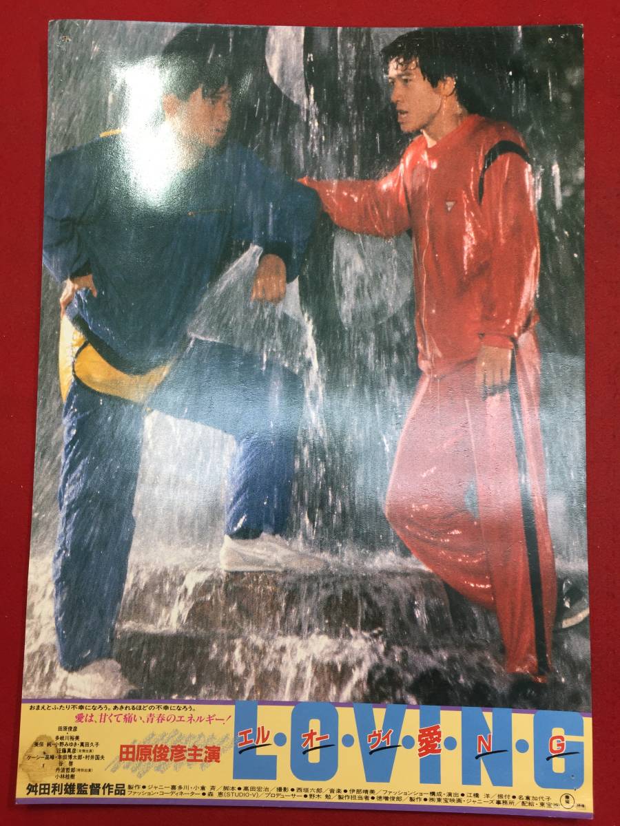 93531『エル・オー・ヴィ・愛・N・G』ロビーカード 田原俊彦 近藤真彦 美保純 萬田久子 八神康子 ジャニー喜多川 麻丘あゆ美拍卖