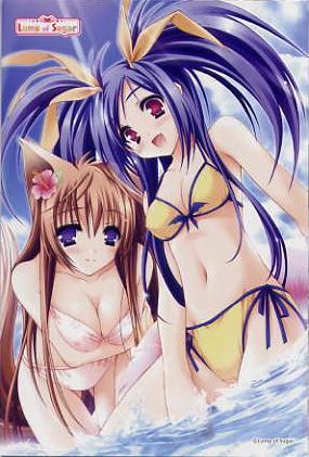 タユタマ-It's happy days-/Lump of Sugar ソフマップ特典ポストカード拍卖