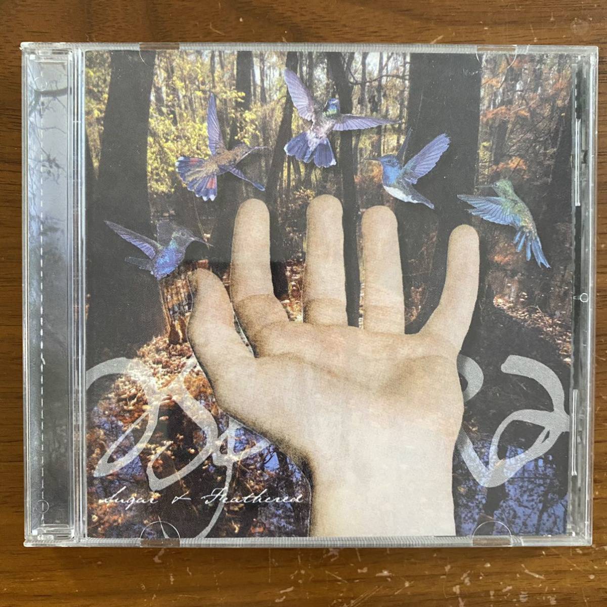 CD ★ Aspera 『Sugar & Feathered』中古 Aspera sugar & feathered拍卖