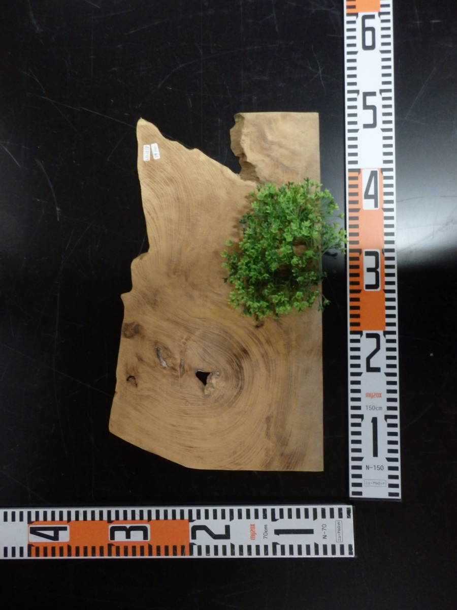 e0102658 欅●約1.3cm☆無垢板1枚板 木材 板 DIY 板材 天板 棚板 テーブル 看板 花台など種類豊富!拍卖