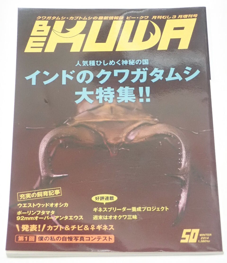 BE KUWA ビークワ No.50■インドのクワガタムシ大特集|ウエストウッドオオシカ・ボーリンフタマタ・92㎜UPアンタエウス飼育/カブトギネス拍卖