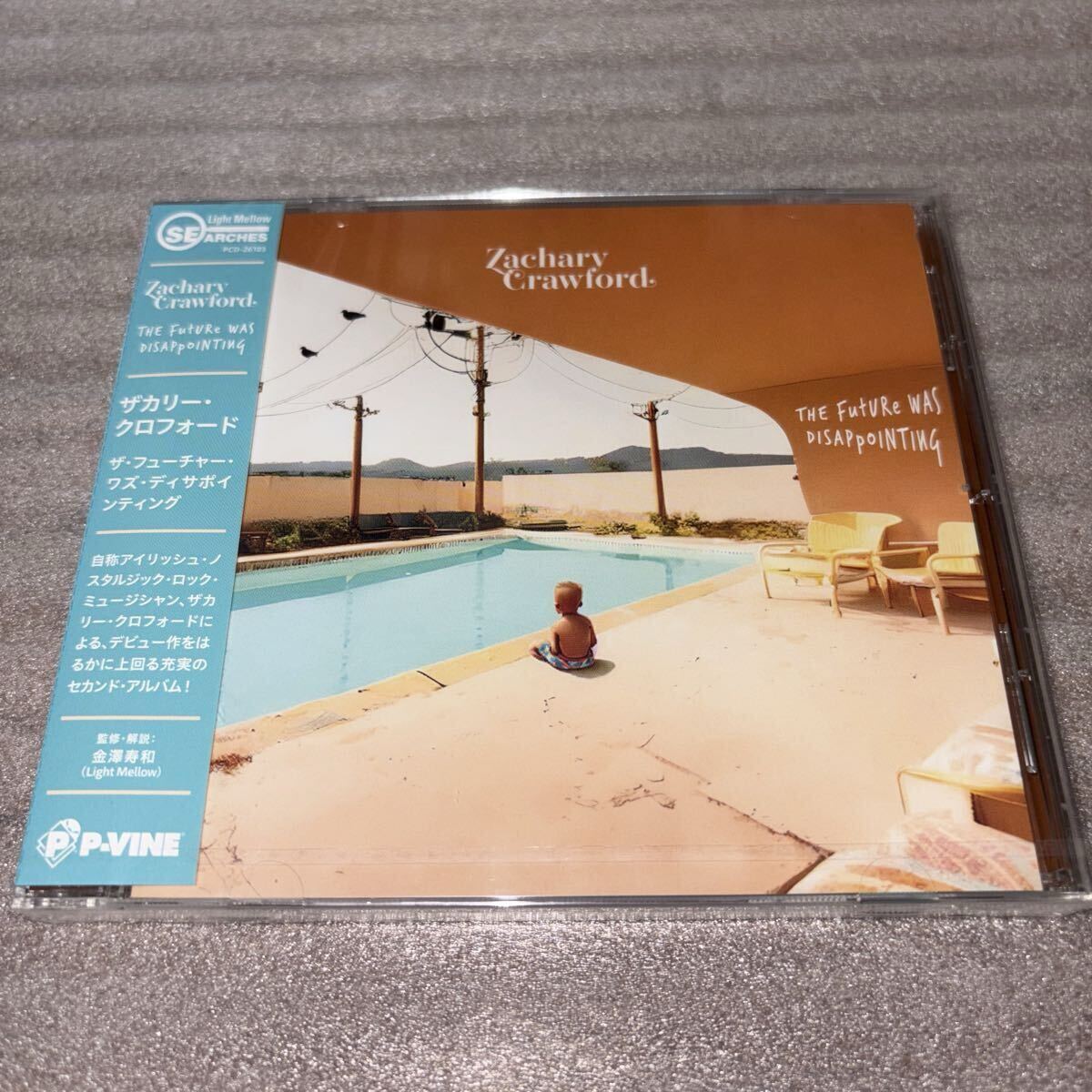 AOR/LIGHT MELLOW/ZACHARY CRAWFORD/ザカリー・クロフォード/The Future Was Disappointing/2023拍卖