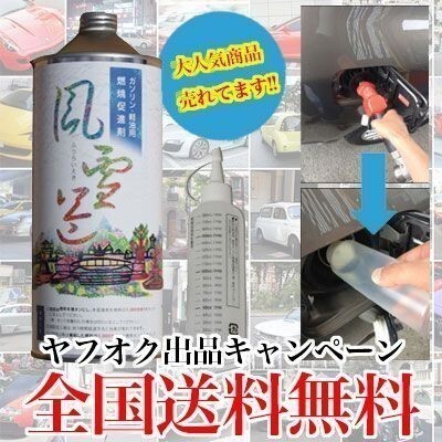 風雷益 燃料添加剤 ガソリン添加剤 ガソリン ディーゼル 車 バイク 燃費向上 自動車 メンテナンス 洗浄効果 燃費向上 燃焼効率アップ 改善拍卖