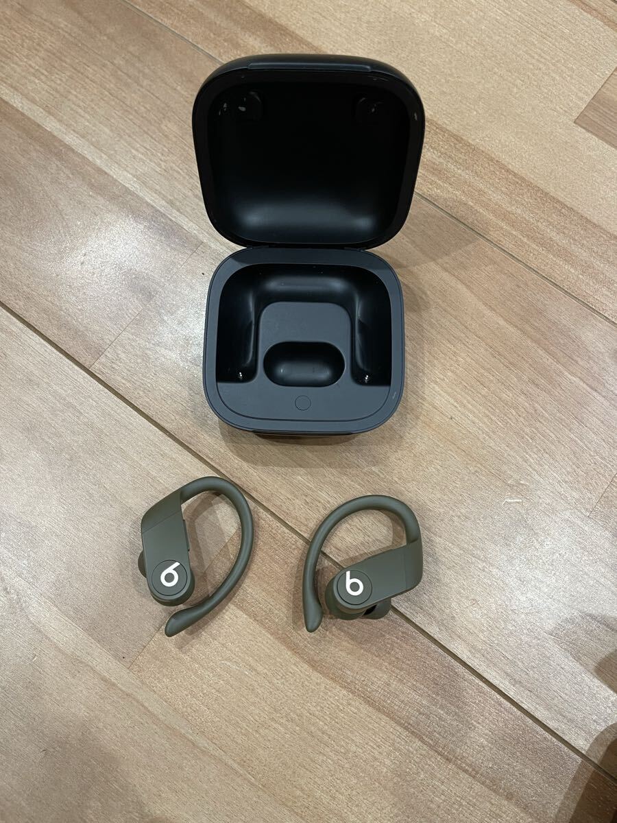【本体+ケースのみ】Powerbeats Pro カモ 中古使用感あり 正常動作拍卖