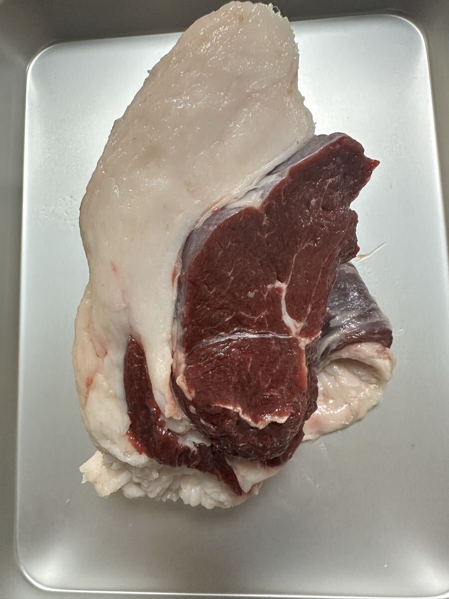 【ジビエ】熊肉 羆の肉 月の輪熊 ツキノワグマ 熊肉 羆 肉 クマ肉 超希少品 ブロック もも 832g拍卖