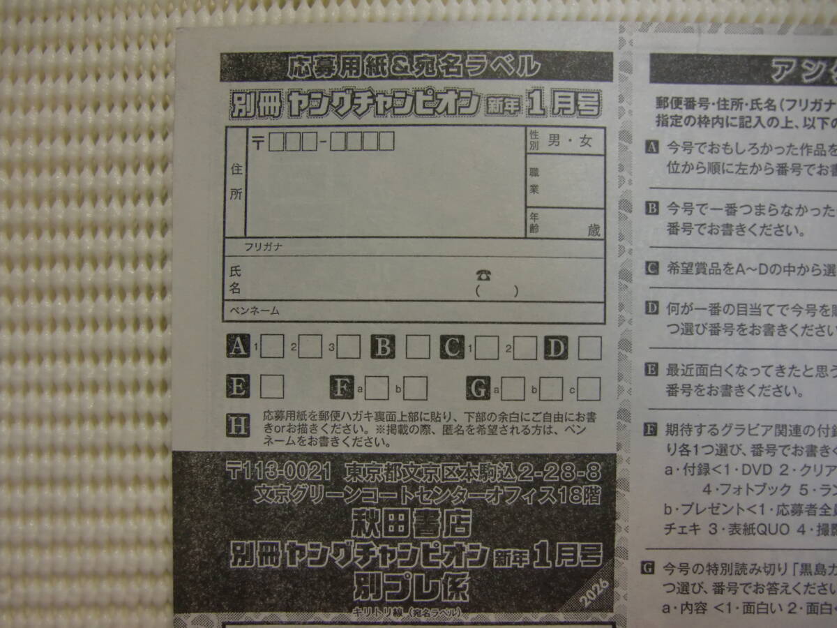 篠崎愛.別冊ヤングチャンピオン.2026年.1月号.No.1.QUO.QUOカード.クオカード.アンケート.懸賞.抽プレ.抽選.応募.応募用紙.1枚.出品個数8拍卖