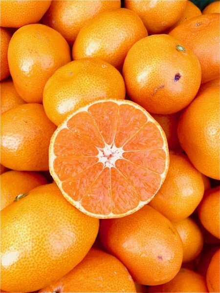 1円スタート!!愛媛県西宇和産みかん10kg ご家庭用..拍卖