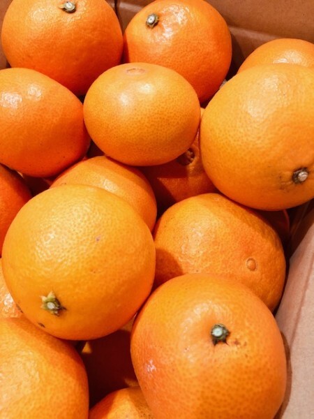 1円スタート!!愛果28号(まどんな)5kg サイズMIX ご家庭用拍卖