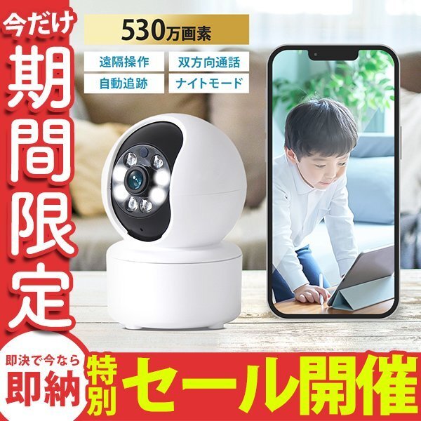 【数量限定セール】防犯カメラ ペットカメラ 夜間OK 屋内 見守りカメラ スマホ対応 wifi ワイヤレス 自動追跡 遠隔操作 録画可能 防犯対策拍卖