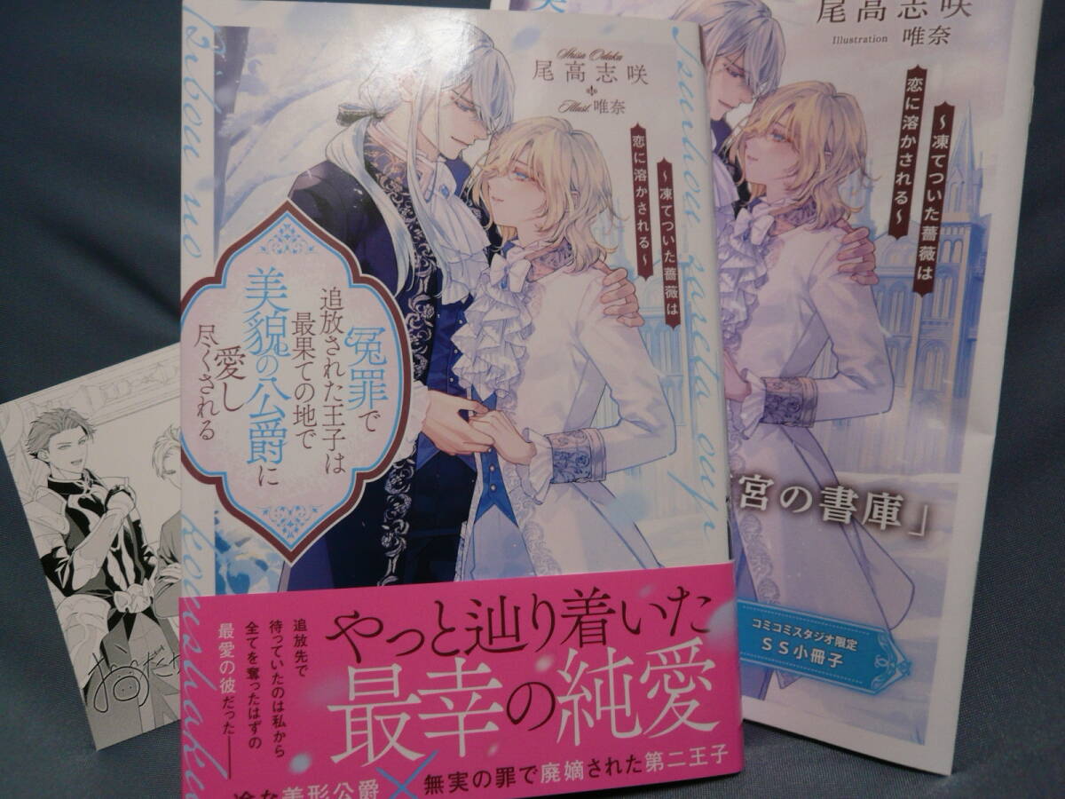 尾高志咲 「 冤罪で追放された王子は最果ての地で美貌の公爵に愛し尽くされる 」 唯奈 コミコミ特典小冊子 + SSイラストカード付拍卖