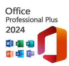 永年正規保証即対応 Microsoft Office LTSC Professional Plus 2024 プロダクトキー 日本語/Word/Excel/PowerPoint拍卖