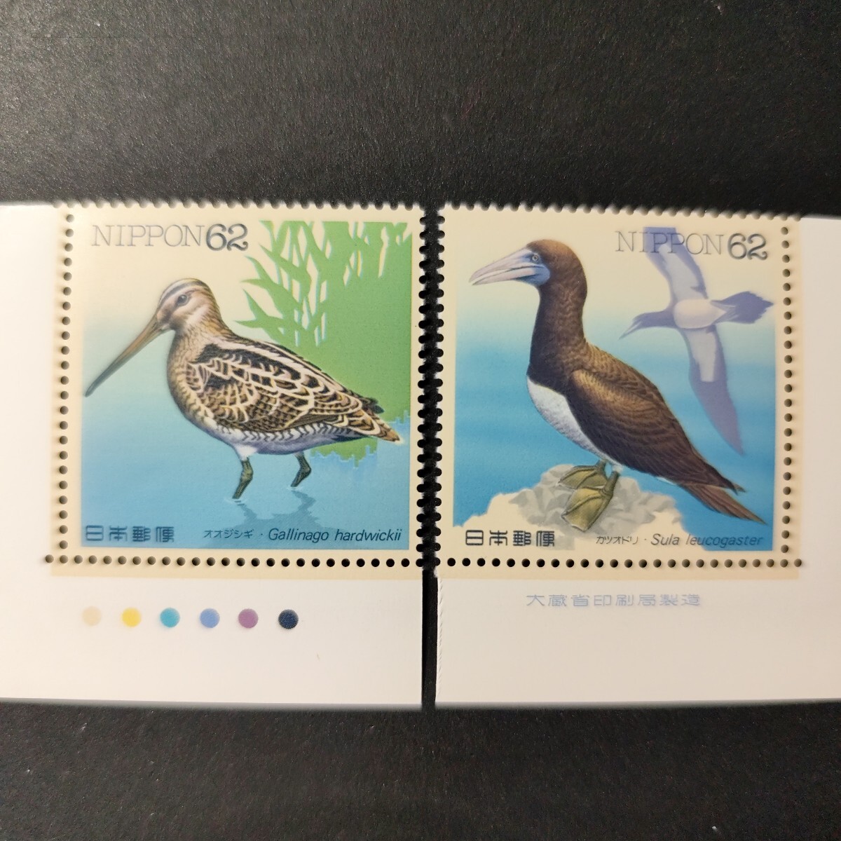 水辺の鳥シリーズ 第1集 「オオジシギ」「カツオドリ」 全2種 1991年拍卖