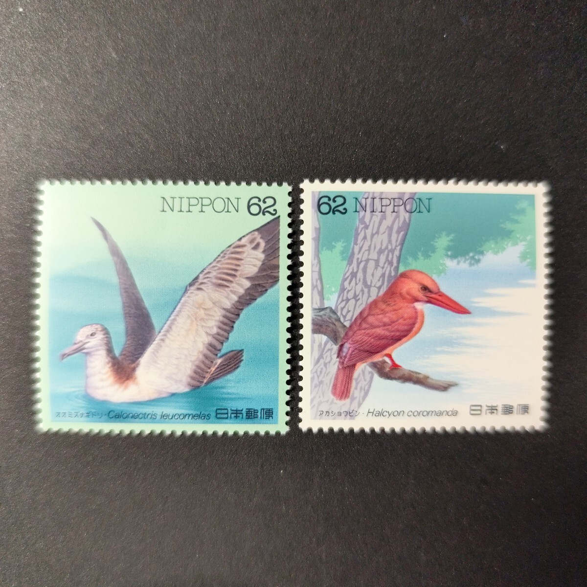 水辺の鳥シリーズ 第5集 「オオミズナギドリ」「アカショウビン」 全2種 1992年拍卖