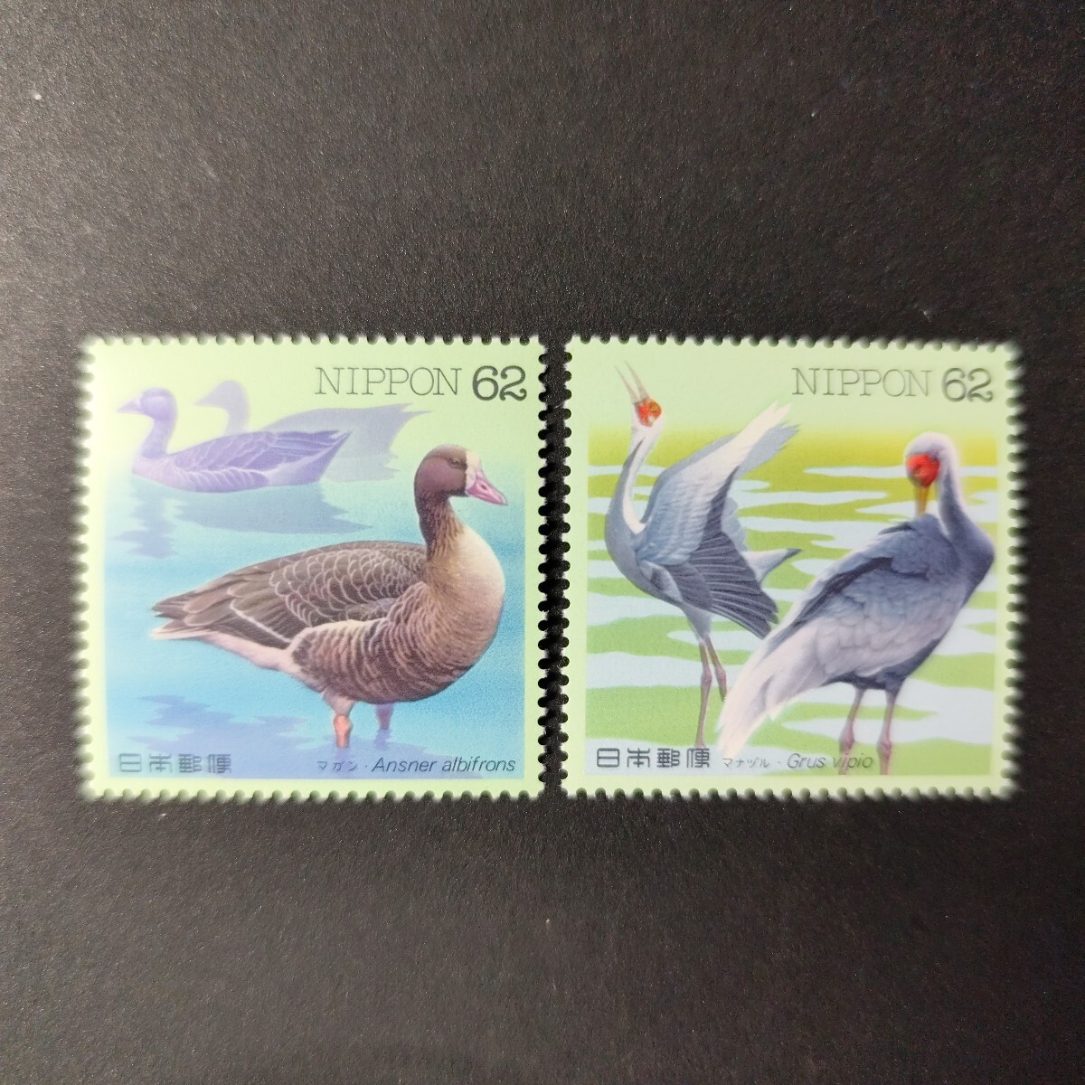 水辺の鳥シリーズ 第7集 「マガン」「マナヅル」 全2種 1993年拍卖