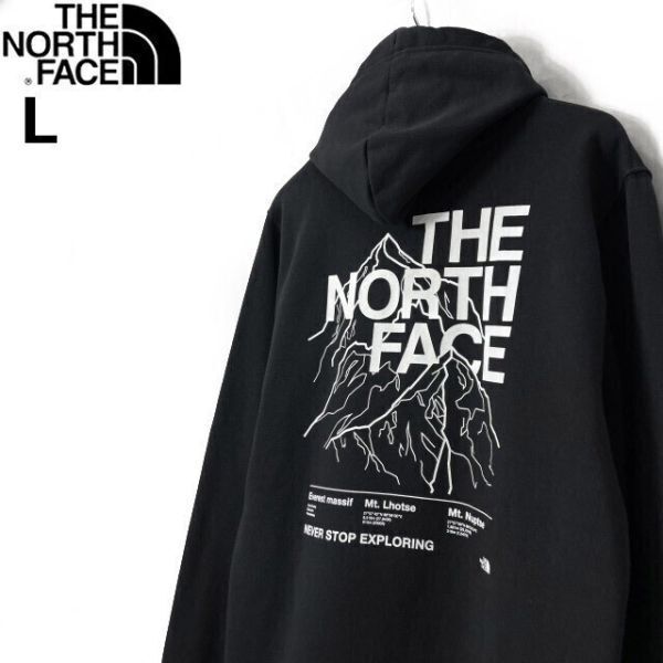 1円~!売切!【正規新品】THE NORTH FACE◆NOVELTY GRAPHIC HOODIE プルオーバー パーカー US限定 グラフィック 男女兼用(L)黒 181130-33拍卖
