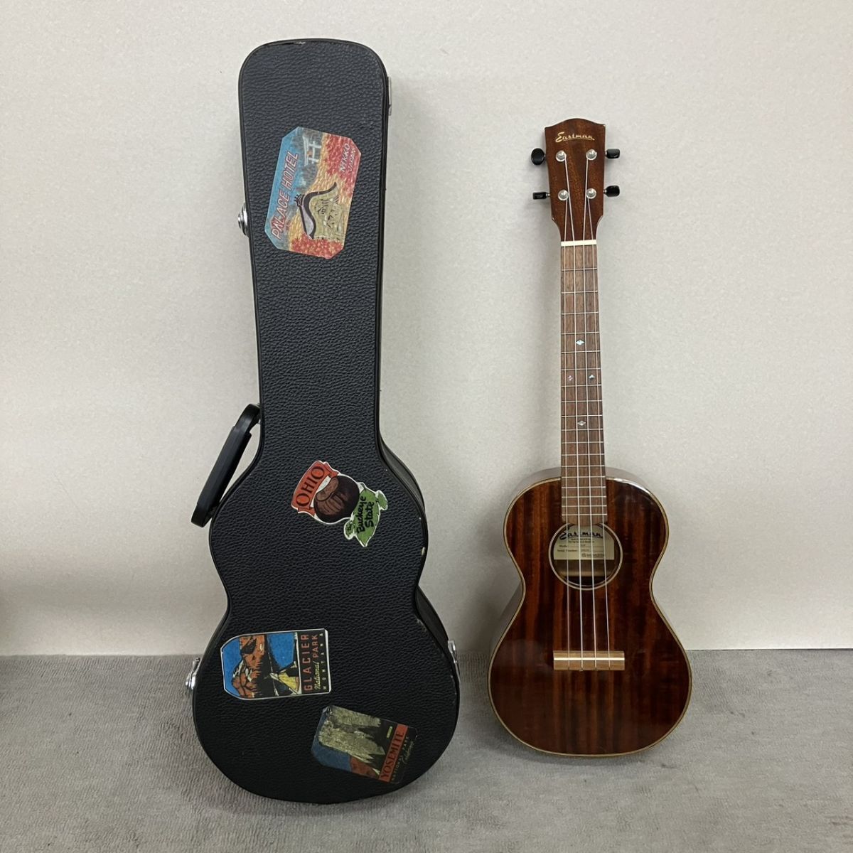 P130-UT1-399 Eastman Strings イーストマン・ストリングス EU3T 13081005 テナー ウクレレ 楽器 弦楽器 ハードケース付き TC拍卖