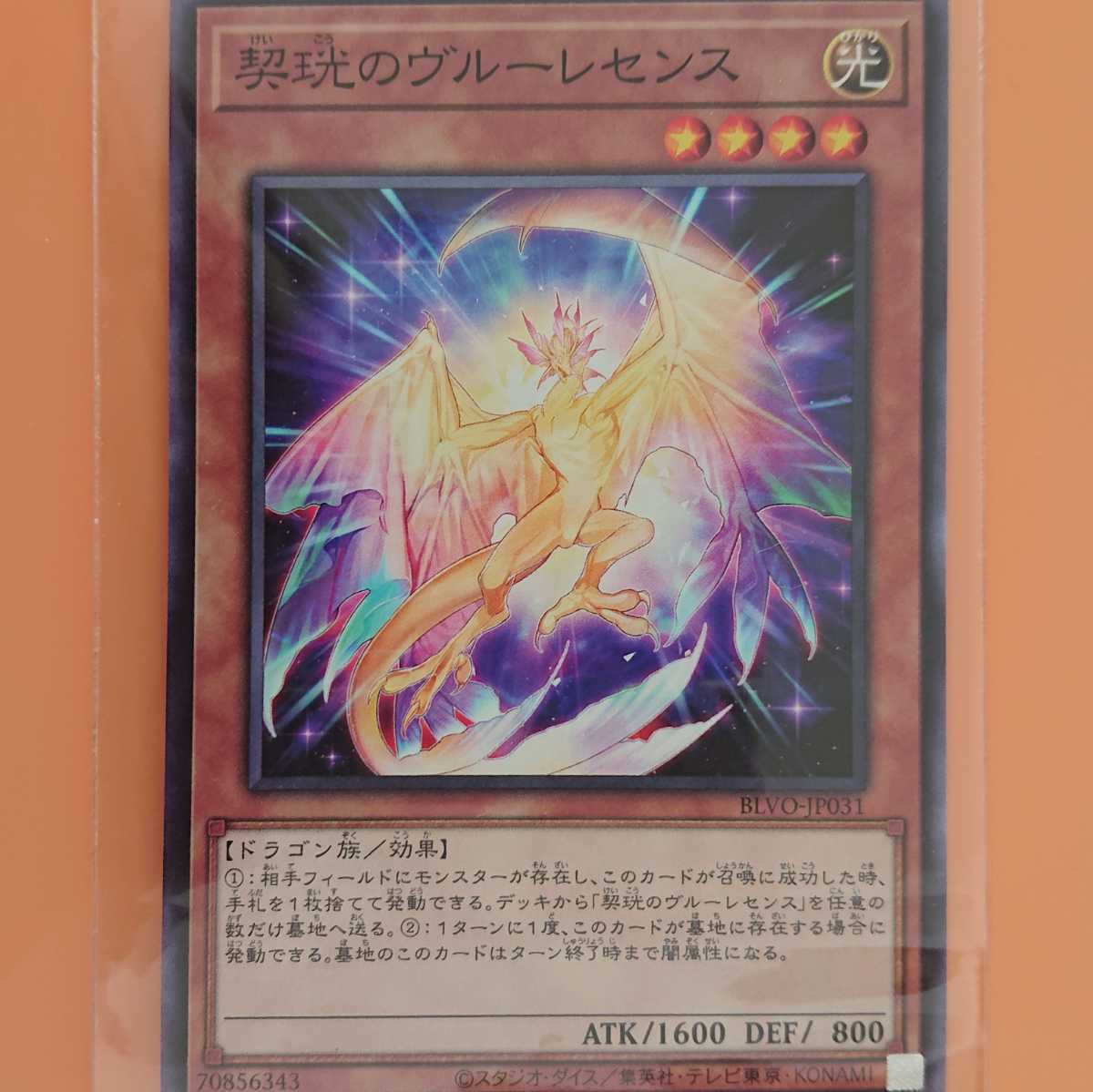 遊戯王 契珖のヴルーレセンス拍卖