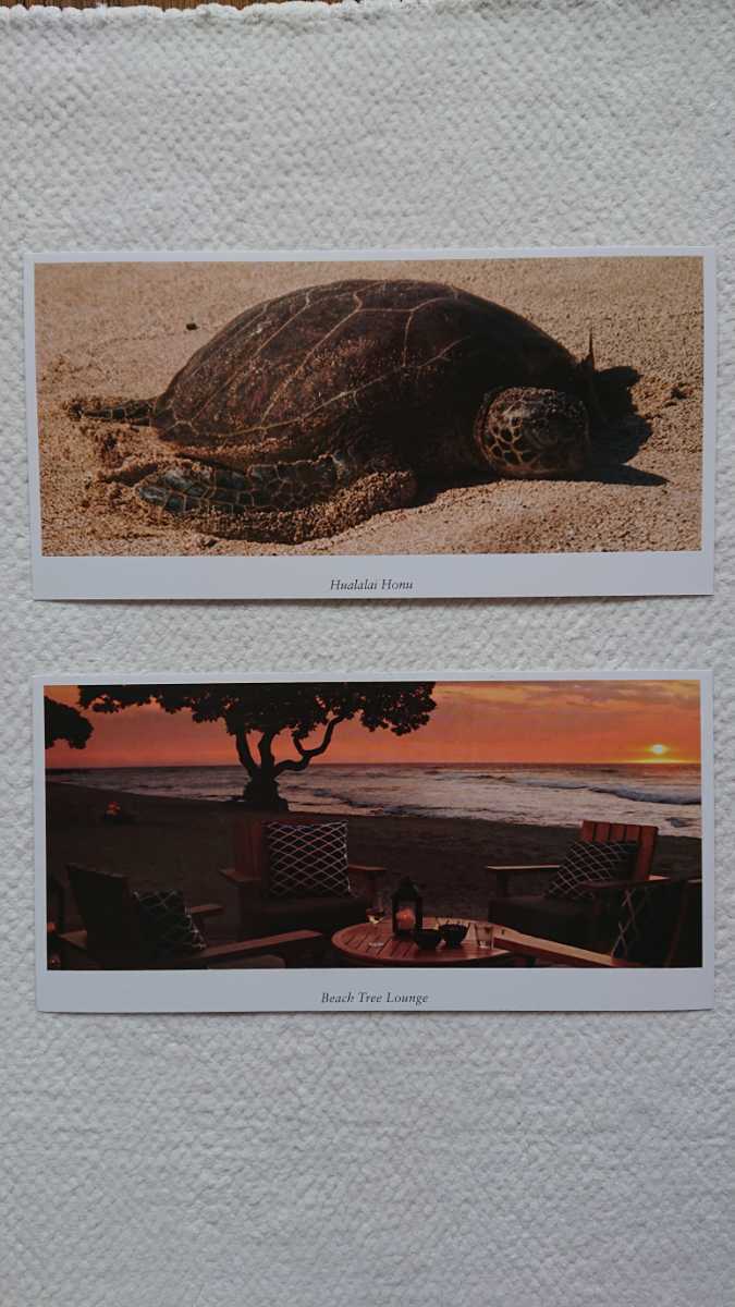 ★新品 ハワイ フォーシーズンズ リゾート 絵はがきセット Hawaii Four Seasons Resort ハワイ島拍卖