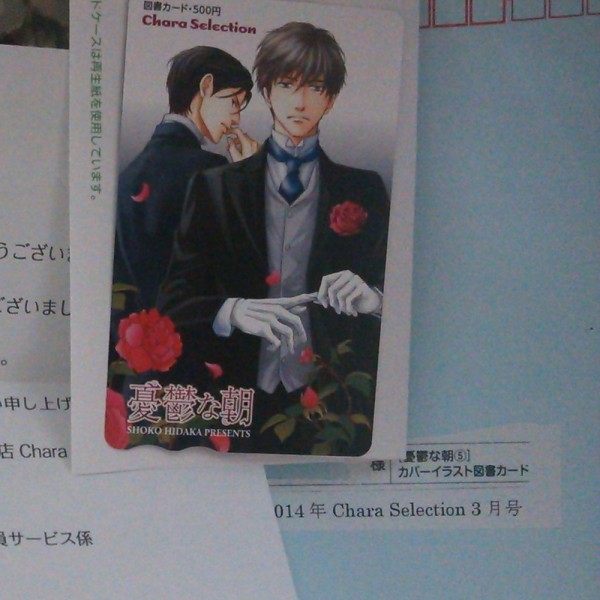 非売品未使用★BL日高ショーコ「憂鬱な朝5」図書カード拍卖