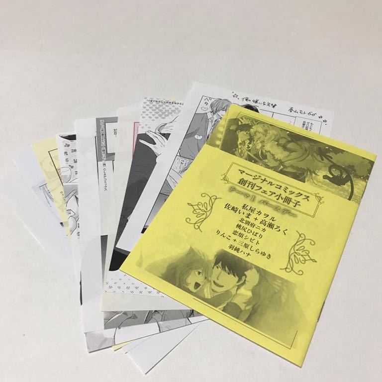 BL◆13 特典小冊子、ペーパー 10種拍卖