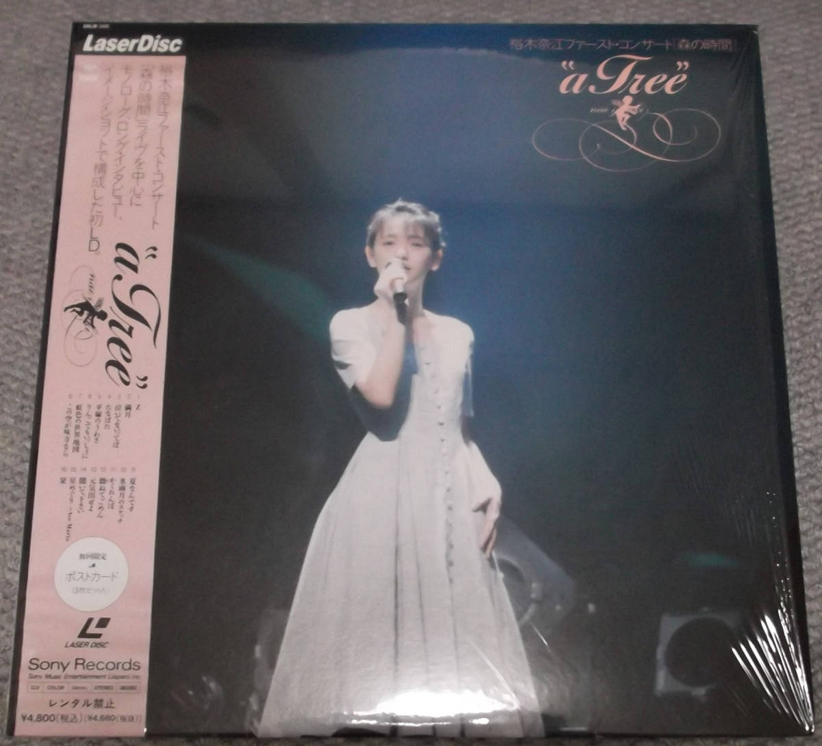 LD 裕木奈江 ファースト・コンサート 「森の時間」 a Tree 初回限定ポストカード付き拍卖