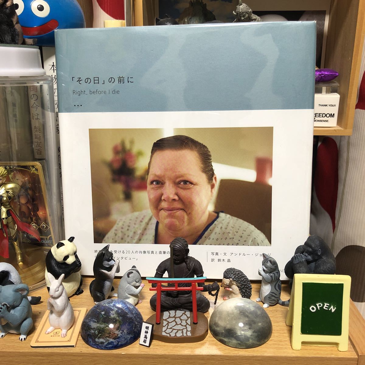 その日の前に アンドルー・ジョージ 鈴木晶拍卖