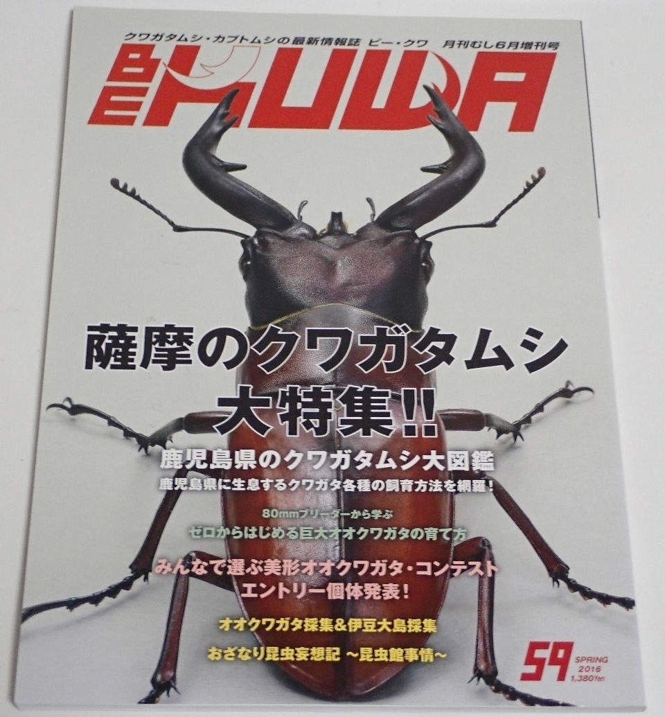 BE KUWA ビークワ No.59■薩摩のクワガタムシ大特集|鹿児島県のクワガタ大図鑑・飼育方法を網羅/オオクワ採集&伊豆大島採集/昆虫館事情拍卖
