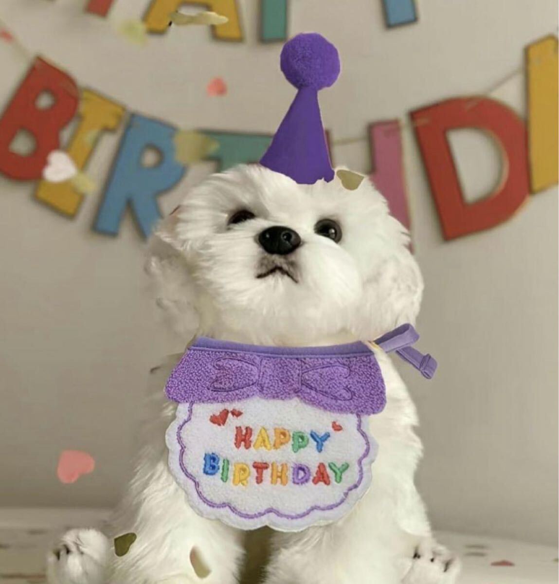 ペットグッズ 中~小型犬用 HAPPY BIRTHDAY スタイと三角帽子 パープル 未使用品拍卖