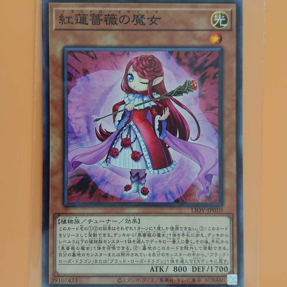 遊戯王 紅蓮薔薇の魔女拍卖