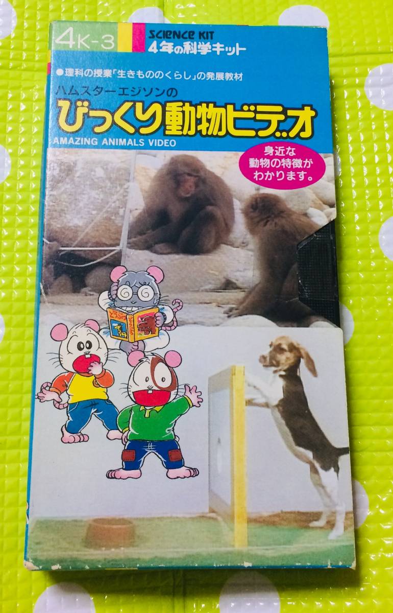 即決〈同梱歓迎〉VHS ハムスターエジソンのびっくり動物ビデオ◎その他ビデオ多数出品中θA296拍卖