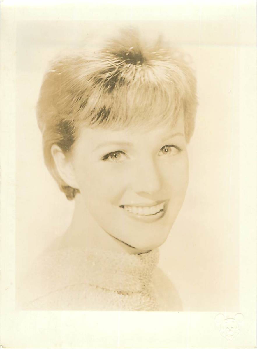 p40958『メリー・ポピンズ』スチル ジュリー・アンドリュース ディック・バン・ダイク デイヴィッド・トムリンソン拍卖