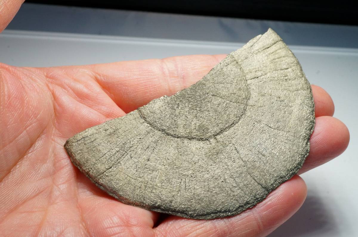 30年前の未使用在庫品!希少な半円型特大!コレクター向け!スペイン産パイライト原石【316ct】/黄鉄鉱/原石/鑑賞石拍卖