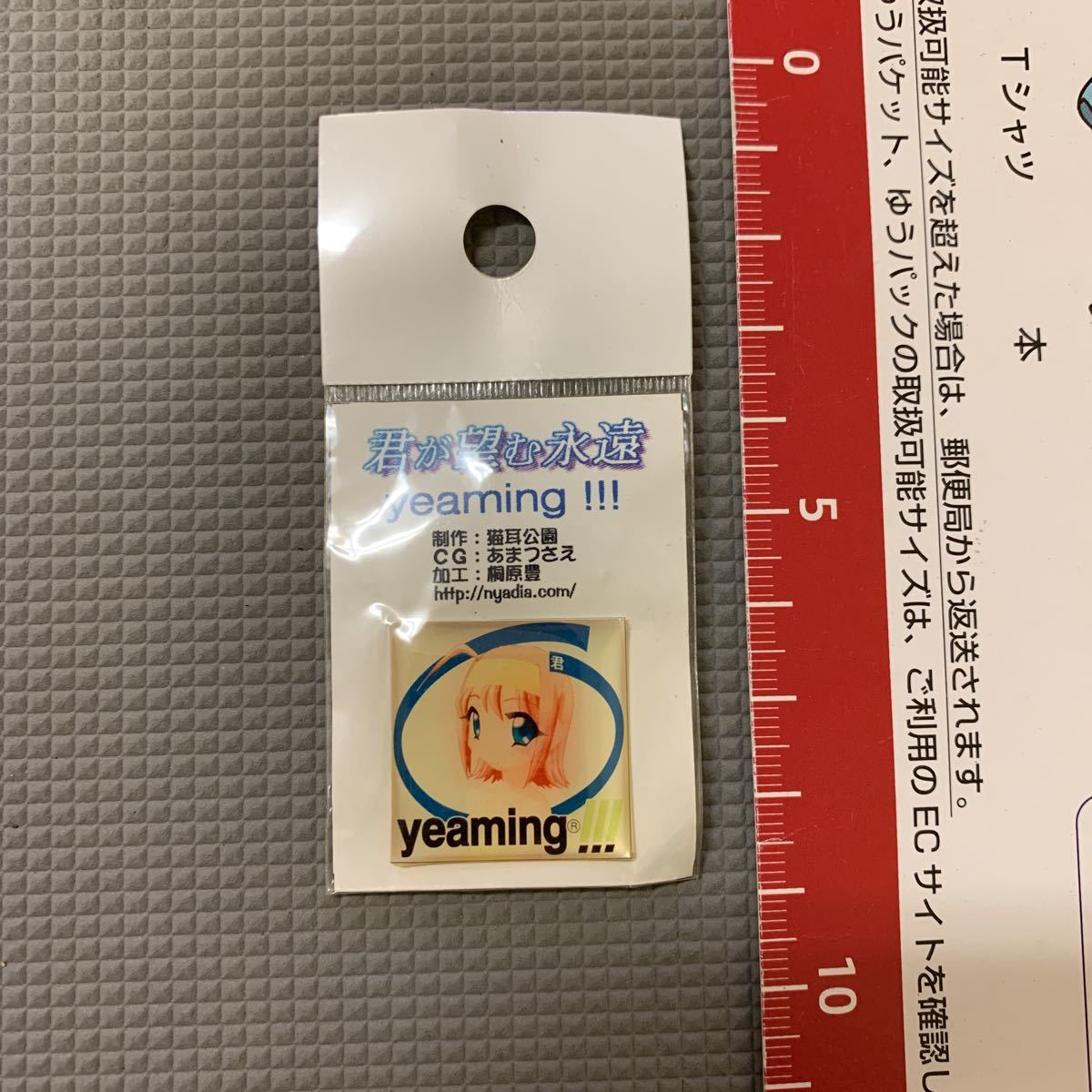 君が望む永遠 yeaming!!! プラスチックミニミニ張り物拍卖