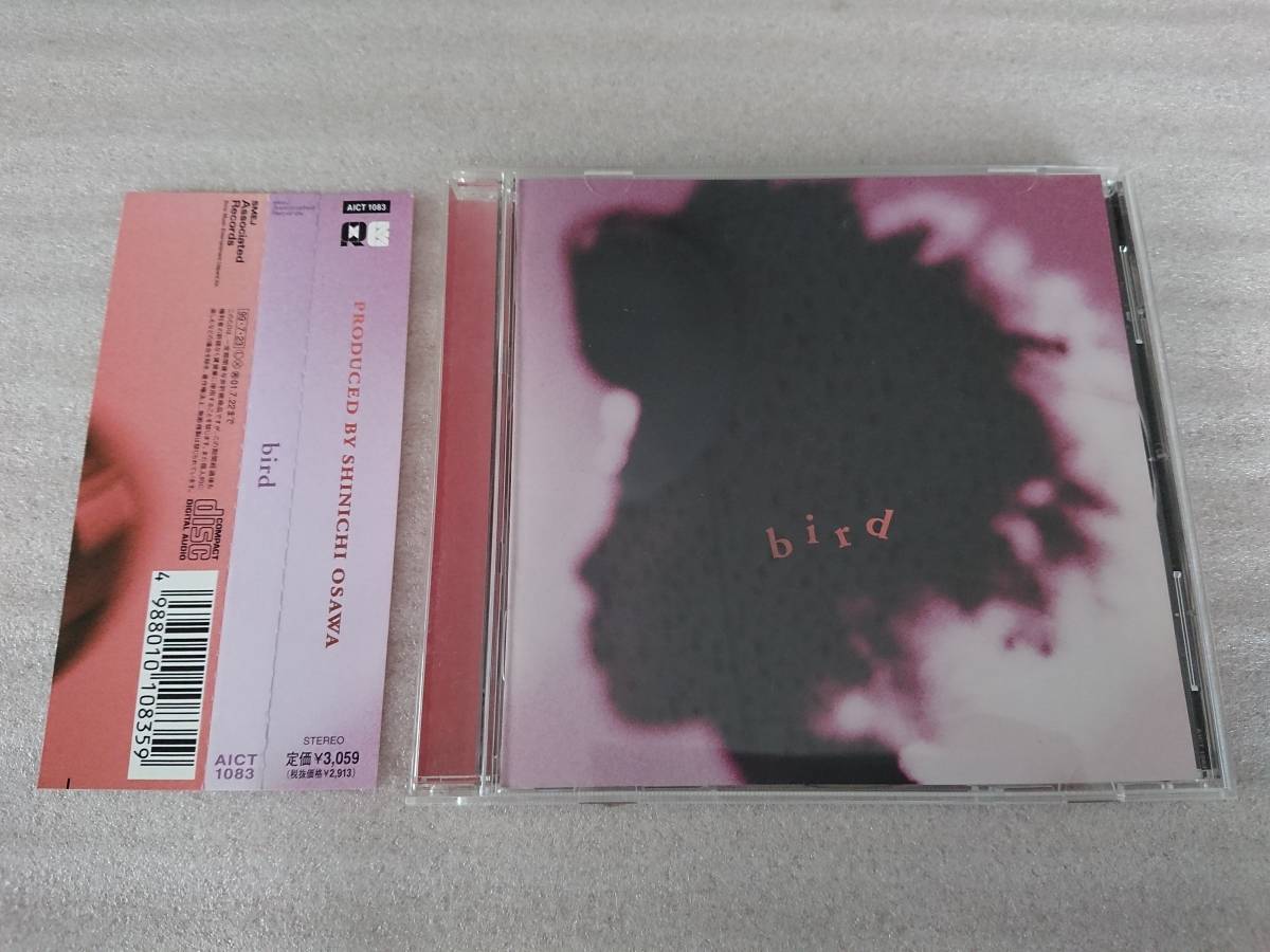 バード CD bird 大沢伸一 帯拍卖