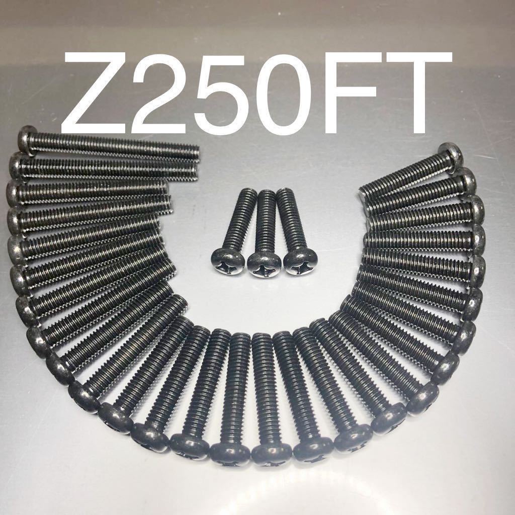Z250-A 250FT 新品 エンジンカバーボルト 純正互換 スチール製ブラックメッキ プラスネジタイプ A1 A2 A3 安心の国産 純正にこだわる方!拍卖