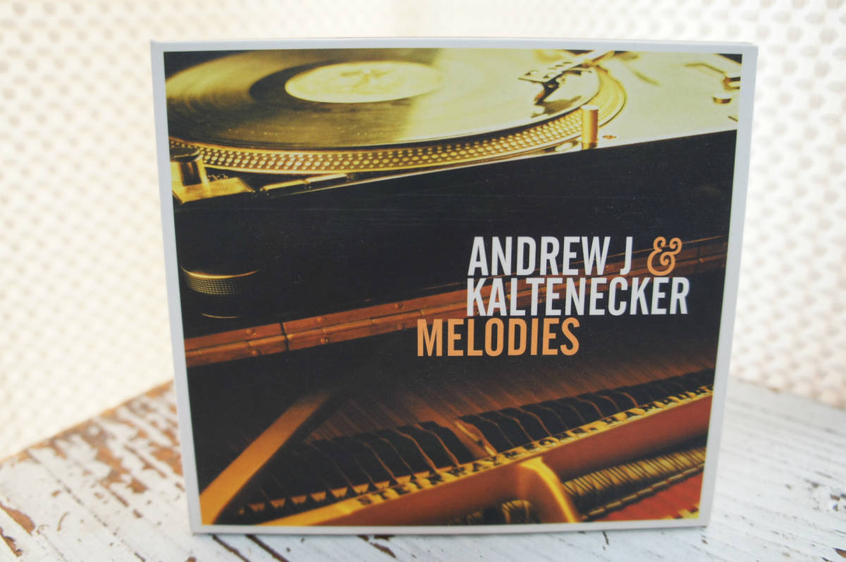 ANDREW J & KALTENECKER「MELODIES」拍卖