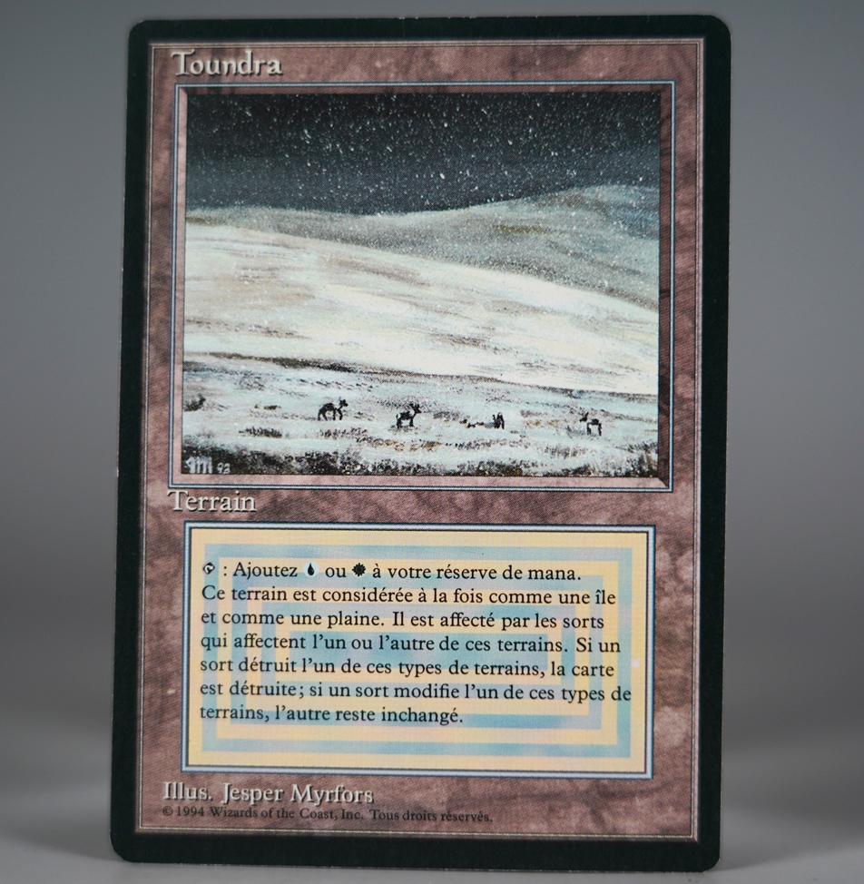 MTG 超希少 レアカード フランス語 版 3ED リバイズド 黒枠 Tundra ツンドラ Toundra デュアルランド 土地 MAGIC The Gathering 美品 即決拍卖