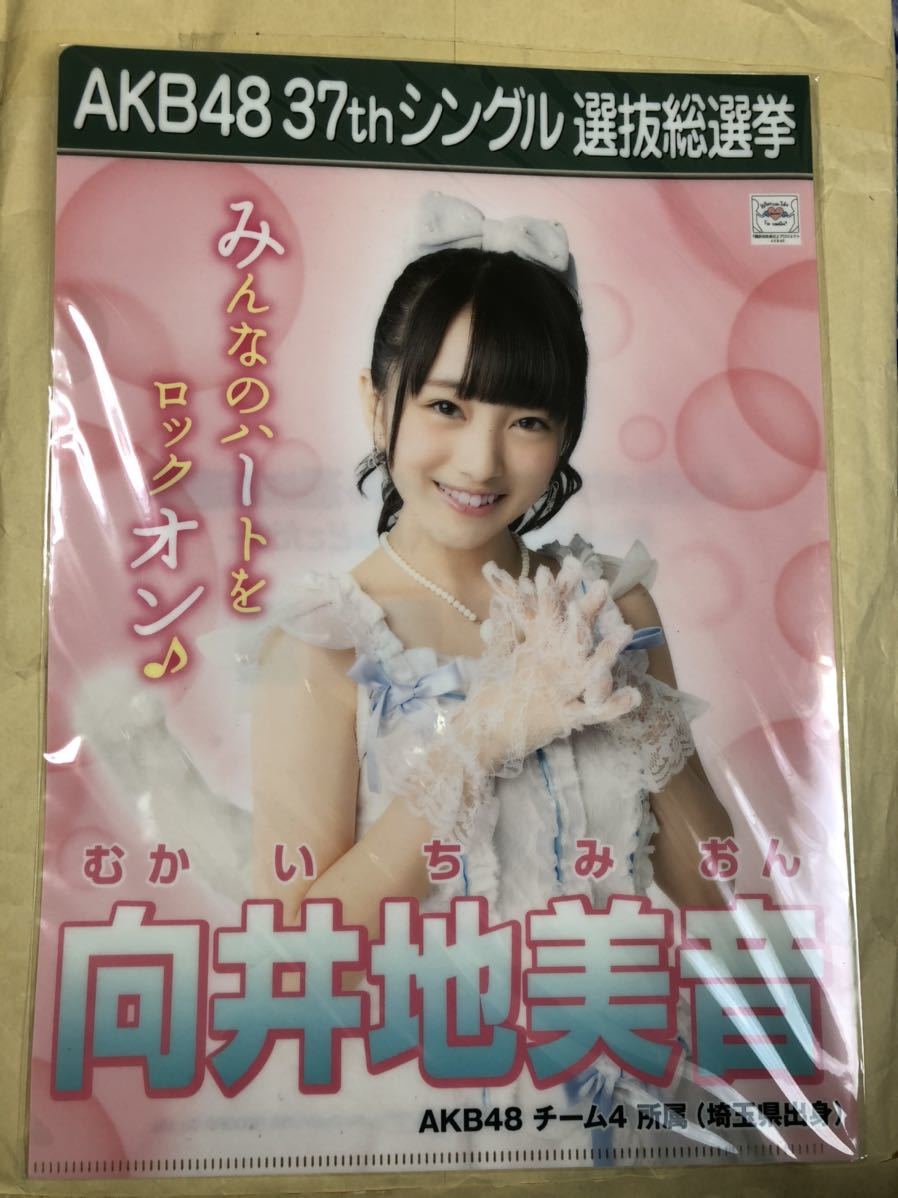 向井地美音 AKB48 選抜総選挙 クリアファイル 新品 未使用拍卖