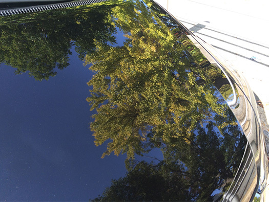 スパシャン 卑猥 カクテル 約330ml拍卖