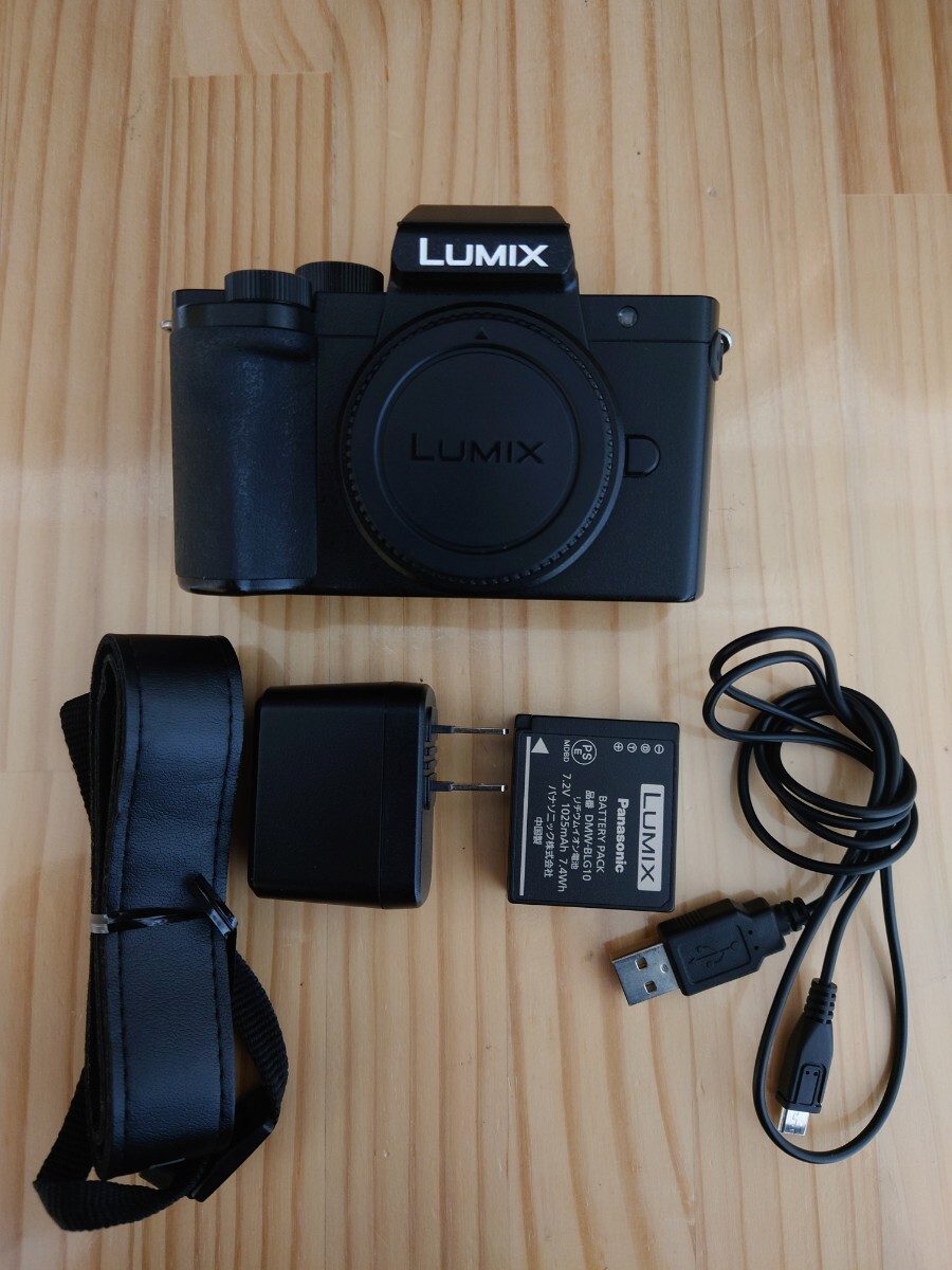 ★訳あり品★ Panasonic パナソニック LUMIX ルミックス DC-G100拍卖