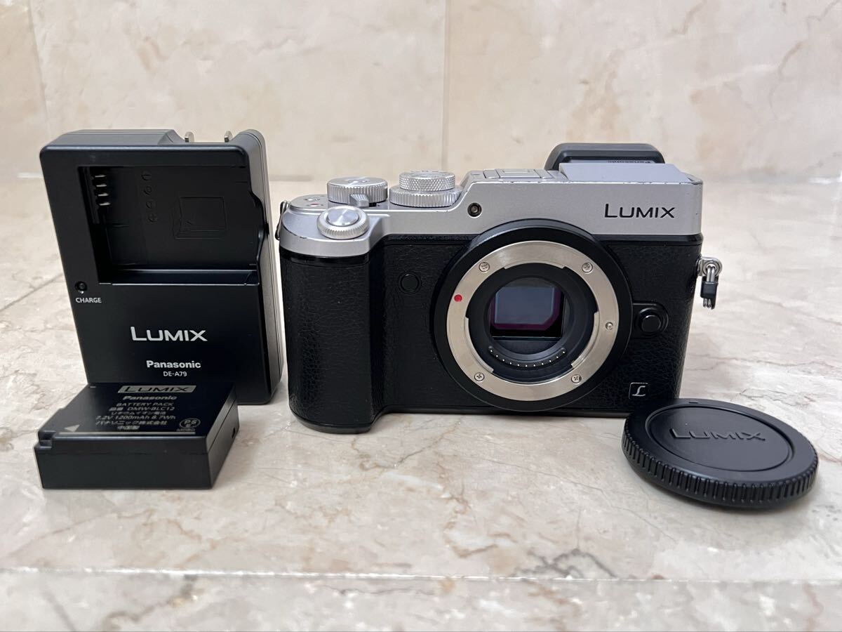 LUMIX DMC-GX8拍卖