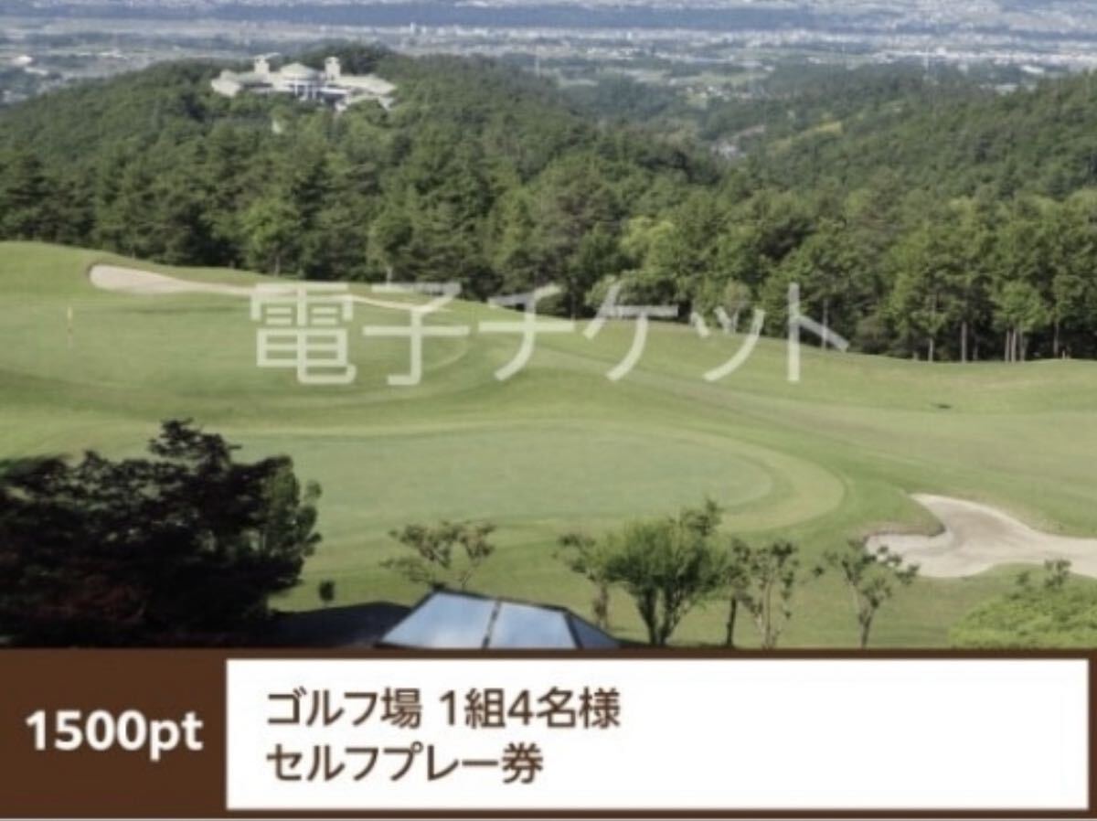 シャトレーゼ ゴルフ場 セルフプレー券 1500P拍卖