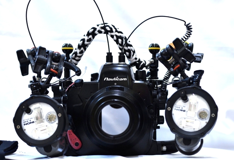 Nauticam NA D800ハウジング Nauticam ノーティカム 105mmマクロ 45ビューファインダー Nauticam拍卖