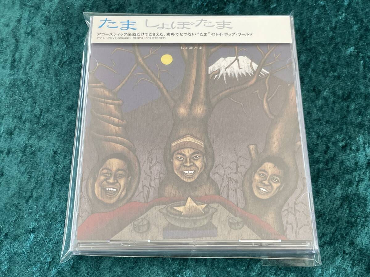 ★たま★しょぼたま★帯付★CD★イカ天★いかすバンド天国★CHIKYU RECORDS★拍卖