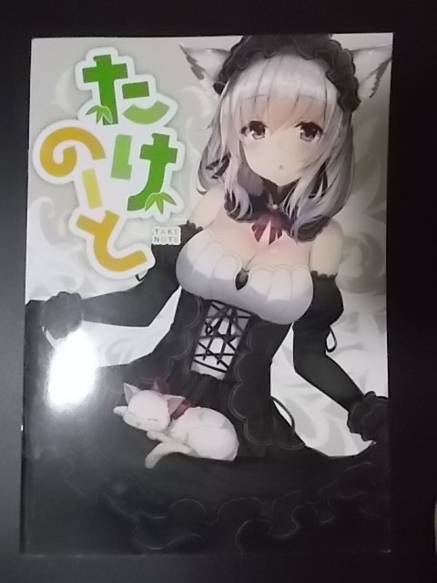 同人誌 たけのーと 青色clip 竹花ノート 条件付き送料無料拍卖